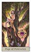 Page of Coins Tarot card in Crystal Visions Tarot deck
