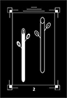dark-exact - Two of Wands