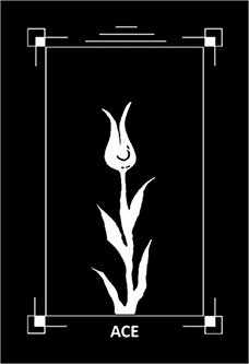 Ace of Wands Tarot card in Dark Exact Tarot deck