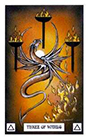 dragon - Three of Wands