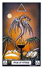 dragon - Page of Wands
