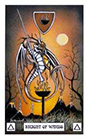 dragon - Knight of Wands