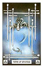 dragon - Nine of Swords
