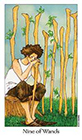 dreaming-way - Nine of Wands