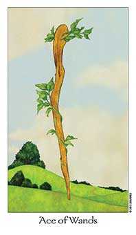 Ace of Wands Tarot card in Dreaming Way Tarot deck