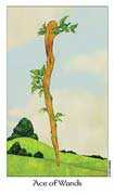 Ace of Wands Tarot card in Dreaming Way deck