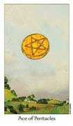 Ace of Coins Tarot card in Dreaming Way deck