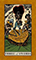 English Magic Tarot