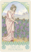 Nine of Pentacles Tarot card in Ethereal Visions deck