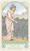 Nine of Pentacles Tarot card in Ethereal Visions Tarot deck