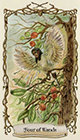fantastical-creatures - Four of Wands