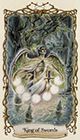fantastical-creatures - King of Swords