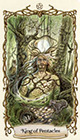 fantastical-creatures - King of Pentacles