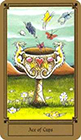 fantastical - Ace of Cups