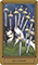 Fantastical Tarot