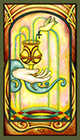 fenestra - Ace of Cups