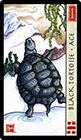 feng-shui - Ace of Wands