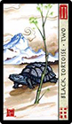feng-shui - Two of Wands