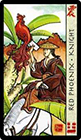 feng-shui - Knight of Cups