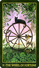 forest-folklore - Wheel of Fortune