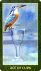 forest-folklore - Ace of Cups