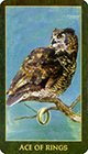 forest-folklore - Ace of Rings
