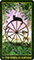 Forest Folklore