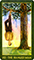 Forest Folklore