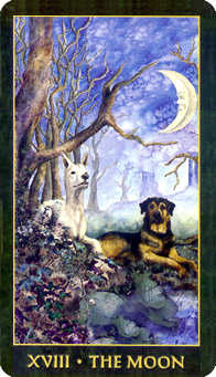 The Moon Tarot card in Forest Folklore Tarot deck