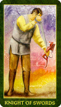 Knight of Swords Tarot card in Forest Folklore Tarot deck