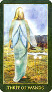 Three of Wands Tarot card in Forest Folklore deck