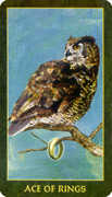 Ace of Rings Tarot card in Forest Folklore Tarot deck
