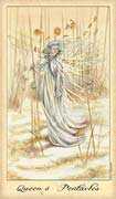 Queen of Coins Tarot card in Ghosts & Spirits deck