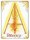 gill - Ace of Wands