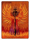 gill - Page of Wands