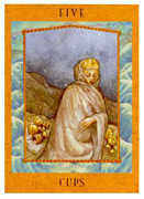 Five of Cups Tarot card in Goddess deck