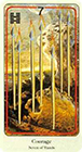 haindl - Seven of Wands