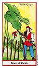 herbal - Seven of Wands