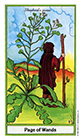 herbal - Page of Wands