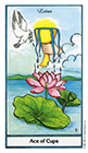herbal - Ace of Cups