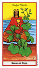 herbal - Queen of Cups
