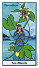 herbal - Two of Swords