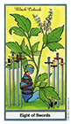 herbal - Eight of Swords