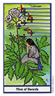 herbal - Nine of Swords