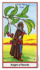 herbal - Knight of Swords