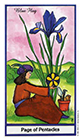 herbal - Page of Coins