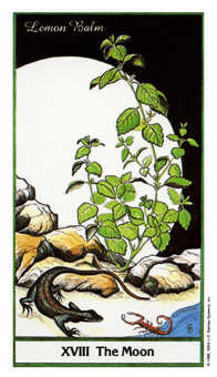 The Moon Tarot card in Herbal Tarot deck