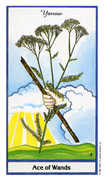 Ace of Wands Tarot card in Herbal deck