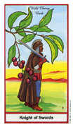 Knight of Swords Tarot card in Herbal Tarot deck