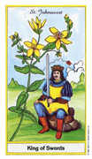 King of Swords Tarot card in Herbal Tarot deck